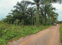 ขายที่ดินเปล่าในเมืองชุมพร เนื้อที่ 7 ไร่ใกล้ทางหลวง