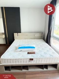 ขายคอนโดมิเนียม โครงการเอป คอนโดมิเนียม (Ape Condominium) นาวุ้ง เพชรบุรี-202511171156521763355412671.jpg