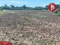 ขายที่ดิน เนื้อที่ 1 ไร่ บ้านเกาะ อุตรดิตถ์-202511171226181763357178726.jpg