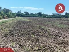 ขายที่ดิน เนื้อที่ 1 ไร่ บ้านเกาะ อุตรดิตถ์-202511171226201763357180255.jpg