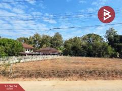 ขายที่ดิน-เนื้อที่-3-งาน-46-ตร.วา-ท่าอิฐ