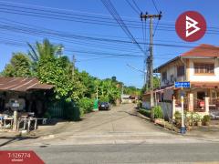 ขายที่ดิน เนื้อที่ 3 งาน 46 ตร.วา ท่าอิฐ อุตรดิตถ์-202511171331431763361103568.jpg