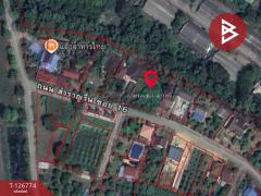 ขายที่ดิน เนื้อที่ 3 งาน 46 ตร.วา ท่าอิฐ อุตรดิตถ์-202511171331451763361105694.jpg