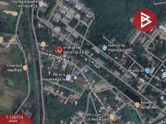 ขายที่ดิน เนื้อที่ 3 งาน 46 ตร.วา ท่าอิฐ อุตรดิตถ์-202511171331461763361106765.jpg