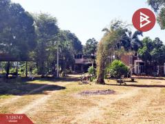 ขายบ้านเดี่ยว 2 หลังพร้อมทึ่ดินแปลงใหญ่ เนื้อที่ 7 ไร่ 3 งาน 77 ตารางวา ชลบุรี ติดถนนเศรษฐกิจ-202511171421131763364073008.jpg