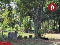 ขายบ้านเดี่ยว 2 หลังพร้อมทึ่ดินแปลงใหญ่ เนื้อที่ 7 ไร่ 3 งาน 77 ตารางวา ชลบุรี ติดถนนเศรษฐกิจ-202511171421151763364075224.jpg