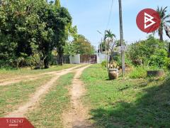 ขายบ้านเดี่ยว 2 หลังพร้อมทึ่ดินแปลงใหญ่ เนื้อที่ 7 ไร่ 3 งาน 77 ตารางวา ชลบุรี ติดถนนเศรษฐกิจ-202511171421151763364075775.jpg