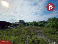 ขายด่วนที่ดิน เนื้อที่ 1 งาน 99.5 ตารางวา สามควายเผือก นครปฐม-202511171423251763364205224.jpg