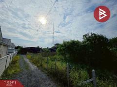 ขายด่วนที่ดิน เนื้อที่ 1 งาน 99.5 ตารางวา สามควายเผือก นครปฐม-202511171423251763364205771.jpg