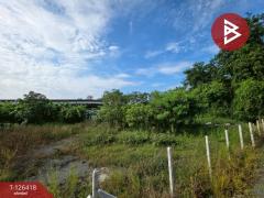 ขายด่วนที่ดิน เนื้อที่ 1 งาน 99.5 ตารางวา สามควายเผือก นครปฐม-202511171423261763364206310.jpg