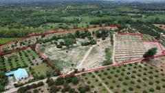 ขายที่ดินวิวภูเขาพร้อมสวนผลไม้และระบบน้ำครบวงจร – อำเภอแม่วาง จังหวัดเชียงใหม่