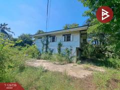 ขายบ้านเดี่ยว เนื้อที่ 9 ไร่ 56 ตร.วา พยุหะคีรี นครสวรรค์-202511171546161763369176985.jpg