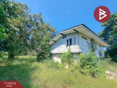 ขายบ้านเดี่ยว เนื้อที่ 9 ไร่ 56 ตร.วา พยุหะคีรี นครสวรรค์-202511171546171763369177542.jpg