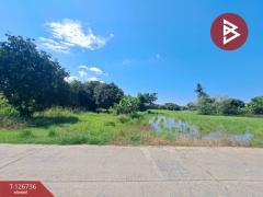 ขายบ้านเดี่ยว เนื้อที่ 9 ไร่ 56 ตร.วา พยุหะคีรี นครสวรรค์-202511171546181763369178105.jpg