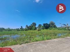 ขายบ้านเดี่ยว เนื้อที่ 9 ไร่ 56 ตร.วา พยุหะคีรี นครสวรรค์-202511171546181763369178657.jpg