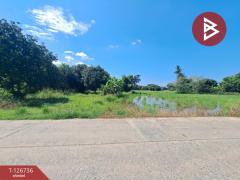 ขายบ้านเดี่ยว เนื้อที่ 9 ไร่ 56 ตร.วา พยุหะคีรี นครสวรรค์-202511171546191763369179215.jpg