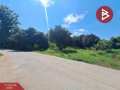 ขายบ้านเดี่ยว เนื้อที่ 9 ไร่ 56 ตร.วา พยุหะคีรี นครสวรรค์-202511171546191763369179771.jpg