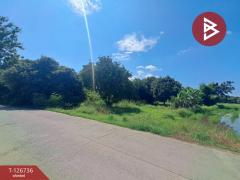 ขายบ้านเดี่ยว เนื้อที่ 9 ไร่ 56 ตร.วา พยุหะคีรี นครสวรรค์-202511171546201763369180454.jpg