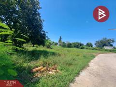 ขายบ้านเดี่ยว เนื้อที่ 9 ไร่ 56 ตร.วา พยุหะคีรี นครสวรรค์-202511171546211763369181010.jpg