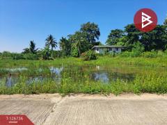 ขายบ้านเดี่ยว เนื้อที่ 9 ไร่ 56 ตร.วา พยุหะคีรี นครสวรรค์-202511171546221763369182547.jpg