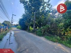 ขายบ้านเดี่ยว เนื้อที่ 9 ไร่ 56 ตร.วา พยุหะคีรี นครสวรรค์-202511171546231763369183101.jpg