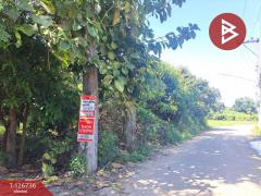 ขายบ้านเดี่ยว เนื้อที่ 9 ไร่ 56 ตร.วา พยุหะคีรี นครสวรรค์-202511171546231763369183652.jpg