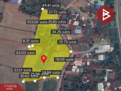 ขายบ้านเดี่ยว เนื้อที่ 9 ไร่ 56 ตร.วา พยุหะคีรี นครสวรรค์-202511171546241763369184205.jpg