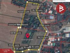 ขายบ้านเดี่ยว เนื้อที่ 9 ไร่ 56 ตร.วา พยุหะคีรี นครสวรรค์-202511171546241763369184753.jpg