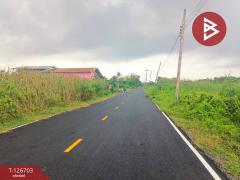 ขายที่ดิน เนื้อที่ 2 งาน ลาดหลุมแก้ว ปทุมธานี-202511171558371763369917882.jpg