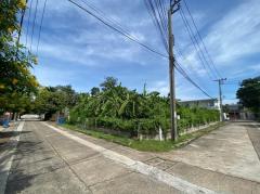 ขายด่วน ที่ดิน เปล่าหมู่บ้านรื่นรมย์ ซ.ราชพฤกษ์ 28 - 140 ตรว. แปลงมุม สี่เหลี่ยมผืนผ้า