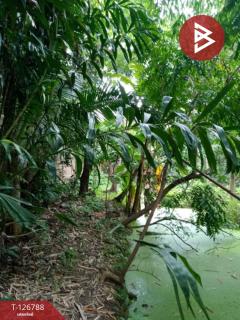 ขายที่ดิน-เนื้อที่-2-งาน-9.1-ตร.วา-ตลิ่ง