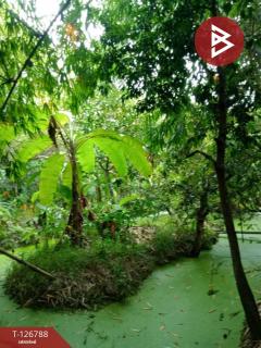 ขายที่ดิน เนื้อที่ 2 งาน 9.1 ตร.วา ตลิ่งชัน กรุงเทพมหานคร-202511180913551763432035441.jpg