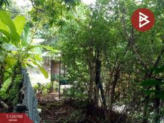 ขายที่ดิน เนื้อที่ 2 งาน 9.1 ตร.วา ตลิ่งชัน กรุงเทพมหานคร-202511180913551763432035984.jpg