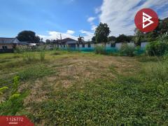 ขายที่ดิน-เนื้อที่-3-งาน-ท่าช้าง-จันท