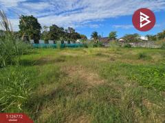 ขายที่ดิน เนื้อที่ 3 งาน ท่าช้าง จันทบุรี-202511180921121763432472468.jpg