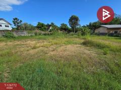 ขายที่ดิน เนื้อที่ 3 งาน ท่าช้าง จันทบุรี-202511180921151763432475174.jpg