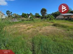 ขายที่ดิน เนื้อที่ 3 งาน ท่าช้าง จันทบุรี-202511180921161763432476144.jpg