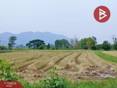 ขายที่ดิน เนื้อที่ 3 ไร่ 3 งาน 85 ตร.วา เทิง เชียงราย