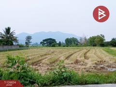 ขายที่ดิน เนื้อที่ 3 ไร่ 3 งาน 85 ตร.วา เทิง เชียงราย-202511180942391763433759986.jpg