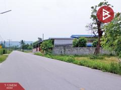 ขายที่ดิน เนื้อที่ 3 ไร่ 3 งาน 85 ตร.วา เทิง เชียงราย-202511180942401763433760535.jpg