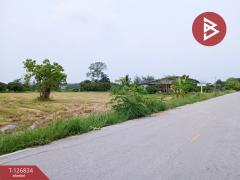 ขายที่ดิน เนื้อที่ 3 ไร่ 3 งาน 85 ตร.วา เทิง เชียงราย-202511180942411763433761072.jpg