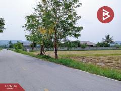 ขายที่ดิน เนื้อที่ 3 ไร่ 3 งาน 85 ตร.วา เทิง เชียงราย-202511180942411763433761609.jpg