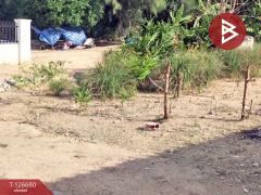 ขายที่ดินเปล่า เนื้อที่ 62 ตารางวา ศรีราชา ชลบุรี ทำเลดีฯ-202511181003211763435001218.jpg