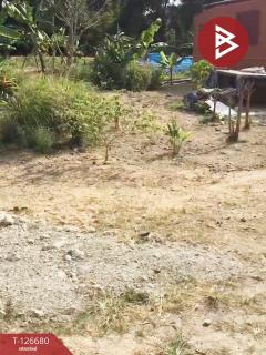 ขายที่ดินเปล่า เนื้อที่ 62 ตารางวา ศรีราชา ชลบุรี ทำเลดีฯ-202511181003241763435004907.jpg