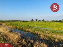 ขายที่ดิน-เนื้อที่-2-ไร่-3-งาน-บางเลน-น