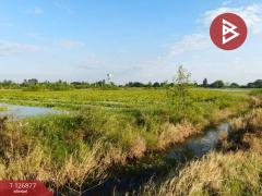 ขายที่ดิน เนื้อที่ 2 ไร่ 3 งาน บางเลน นครปฐม-202511181029161763436556709.jpg