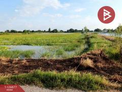 ขายที่ดิน เนื้อที่ 2 ไร่ 3 งาน บางเลน นครปฐม-202511181029171763436557249.jpg