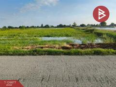 ขายที่ดิน เนื้อที่ 2 ไร่ 3 งาน บางเลน นครปฐม-202511181029171763436557835.jpg