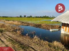 ขายที่ดิน เนื้อที่ 2 ไร่ 3 งาน บางเลน นครปฐม-202511181029191763436559517.jpg