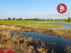 ขายที่ดิน เนื้อที่ 2 ไร่ 3 งาน บางเลน นครปฐม-202511181029201763436560063.jpg